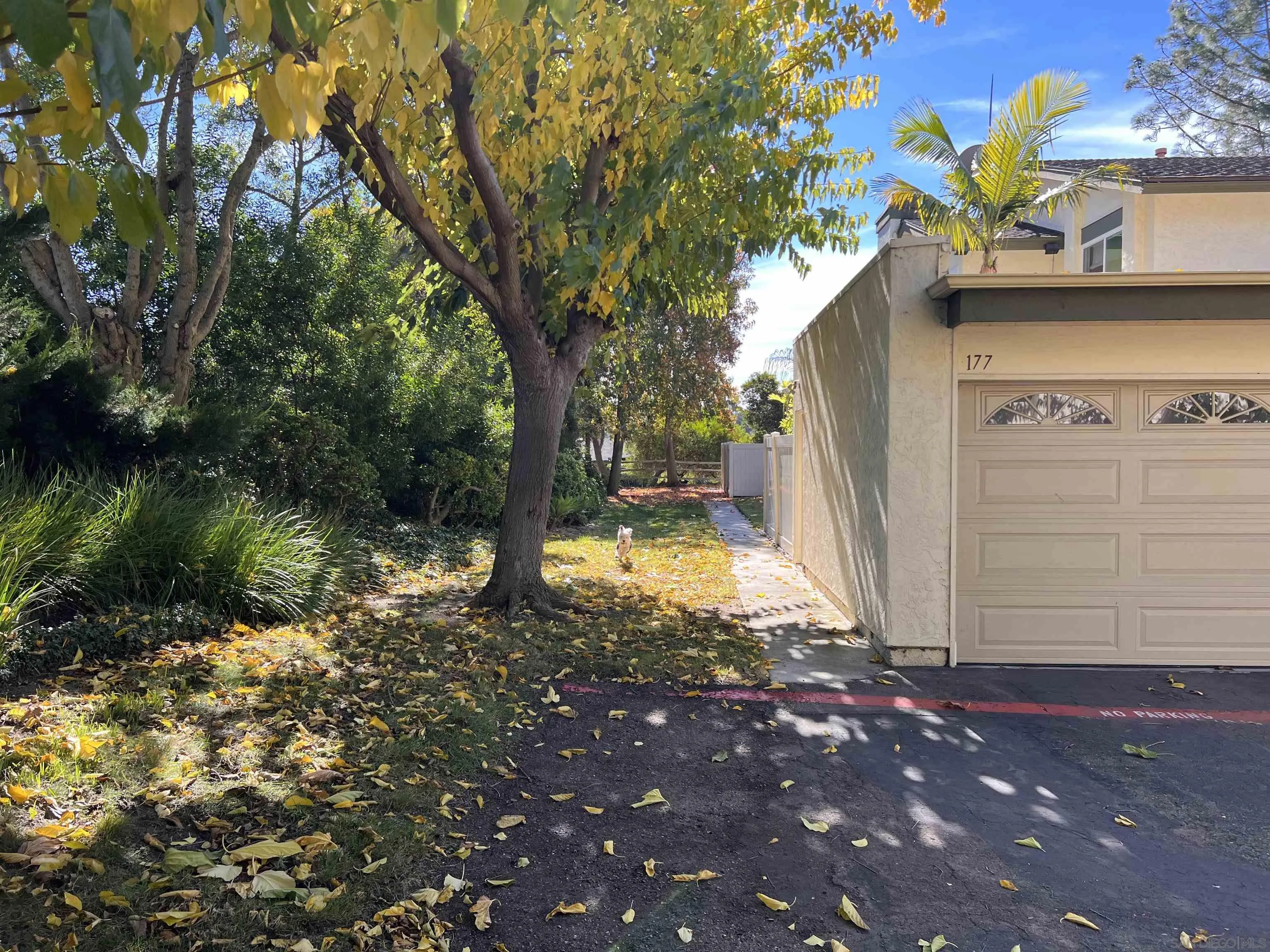 181 Countryhaven Road Encinitas, CA 92024 - Photo 4 of 33