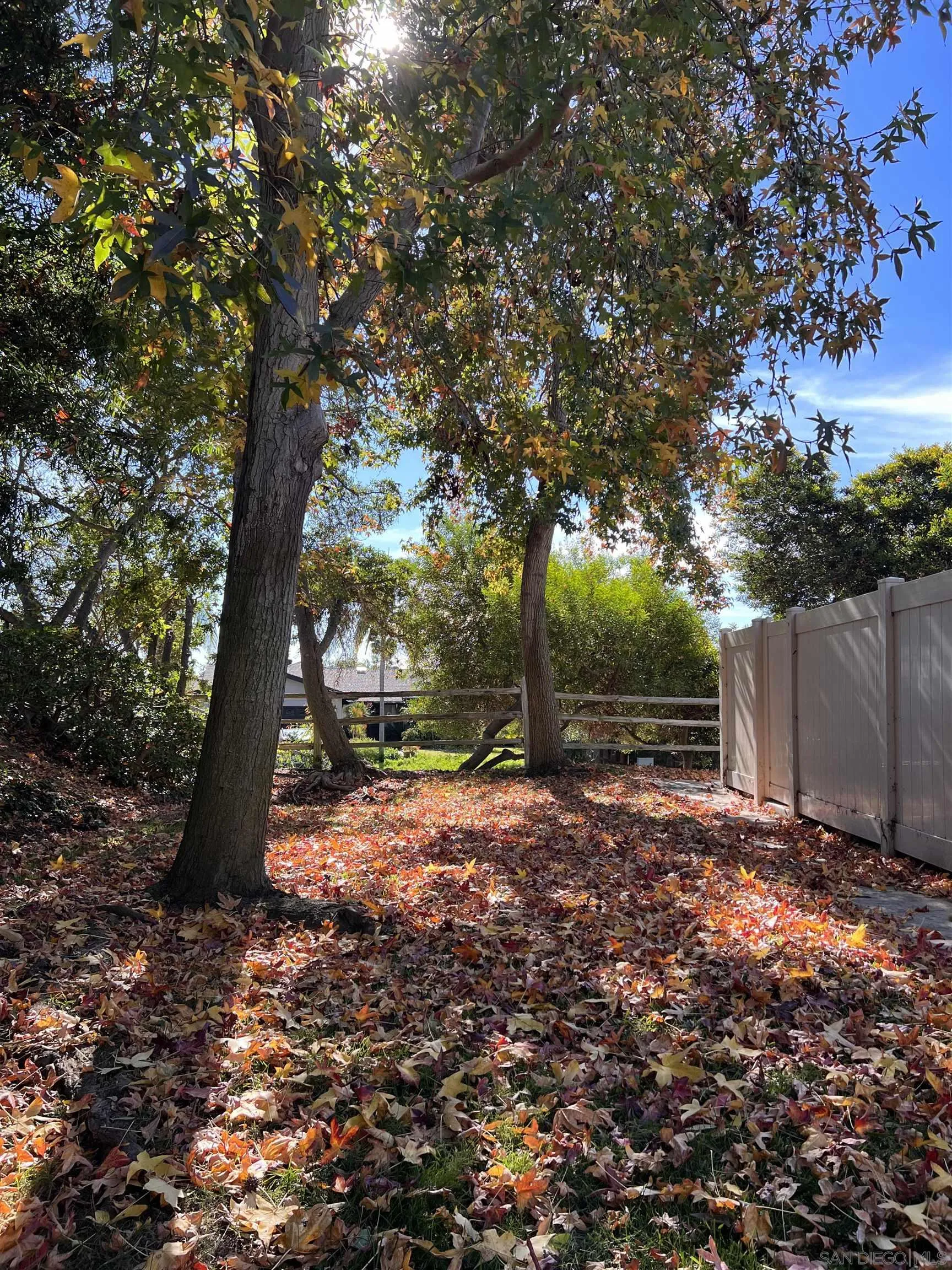 181 Countryhaven Road Encinitas, CA 92024 - Photo 5 of 33