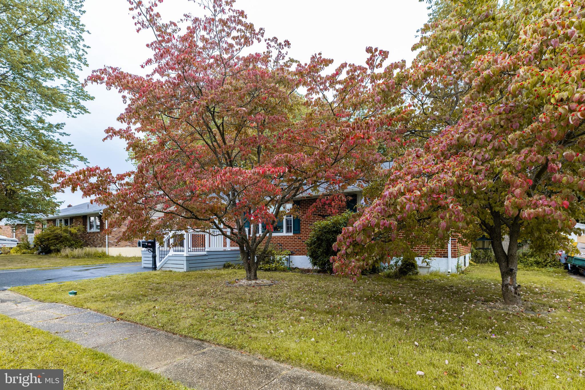 37 Millbrook Road Newark, DE 19713 - Photo 49 of 49 a view of outdoor space with trees