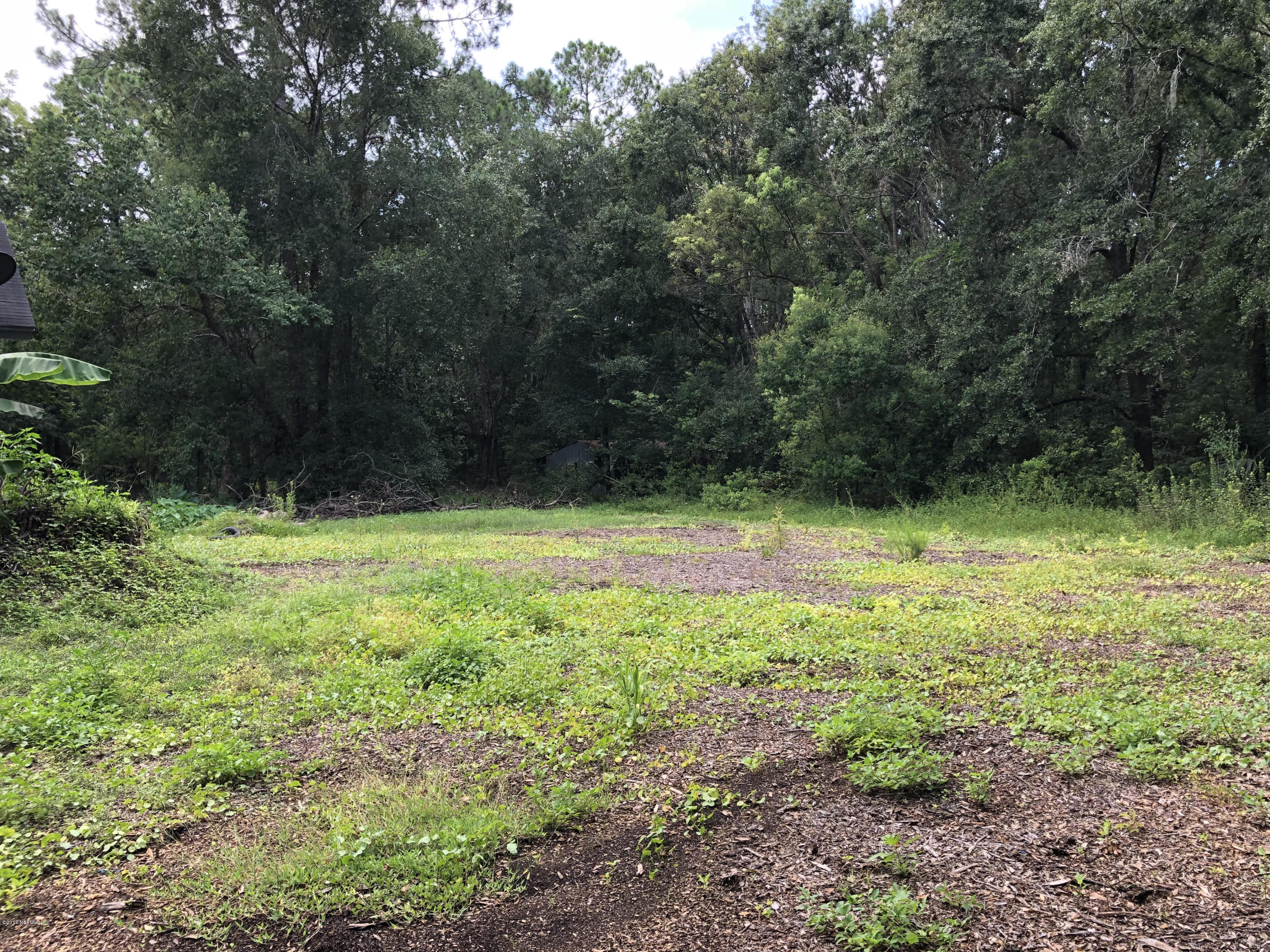 6636 Aline Road Jacksonville, FL 32244 - Photo 14 of 17 Arline back yard