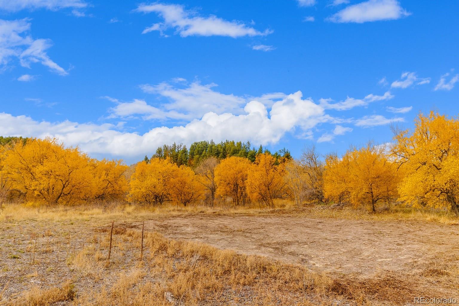 8775 Streamcrest Drive Boulder, CO 80302 - Photo 8 of 19 a view of big yard