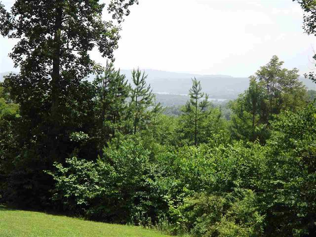 133 Clint Williams Road Rutledge, TN 37861 - Photo 26 of 29 LAAR563279V