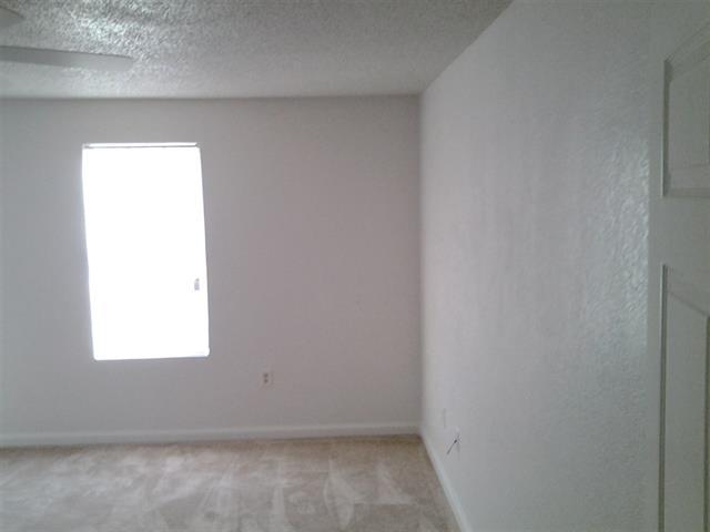133 Clint Williams Road Rutledge, TN 37861 - Photo 10 of 29 LAAR563279F