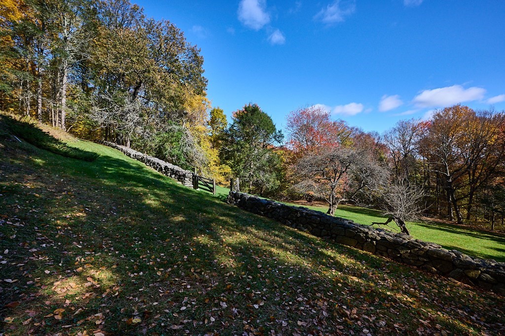 19 Cole Road Haydenville, MA 01039 - Photo 36 of 42 a view of a yard with a tree