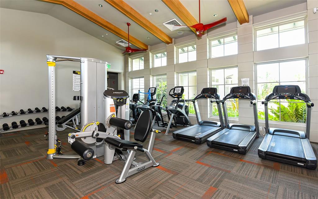 12115 Perennial Place Lakewood Ranch, FL 34211 - Photo 53 of 55