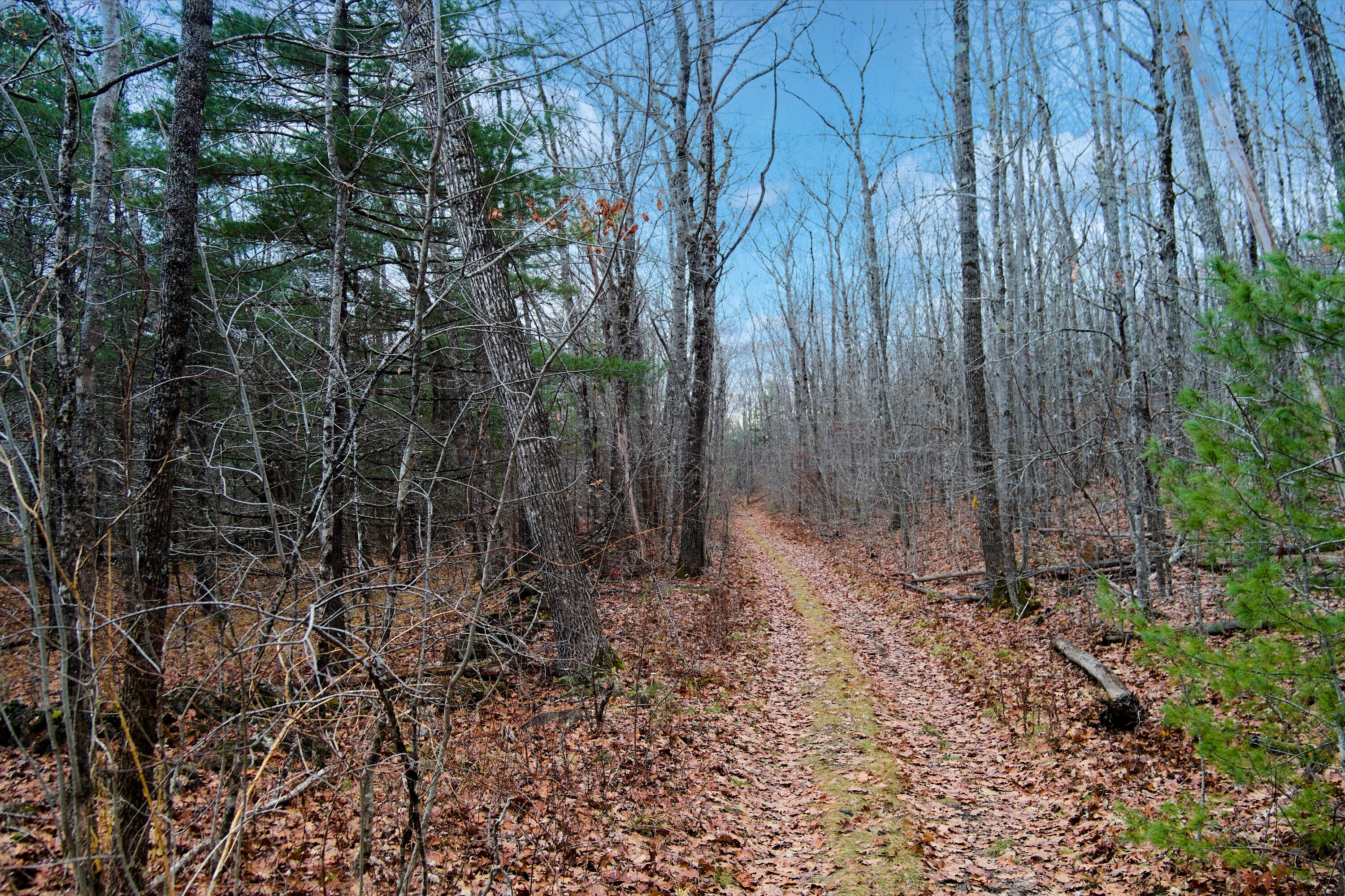 Lot 151 Dunbar Road Thomaston, ME 04861 - Photo 1 of 9 Access Road, property on the right