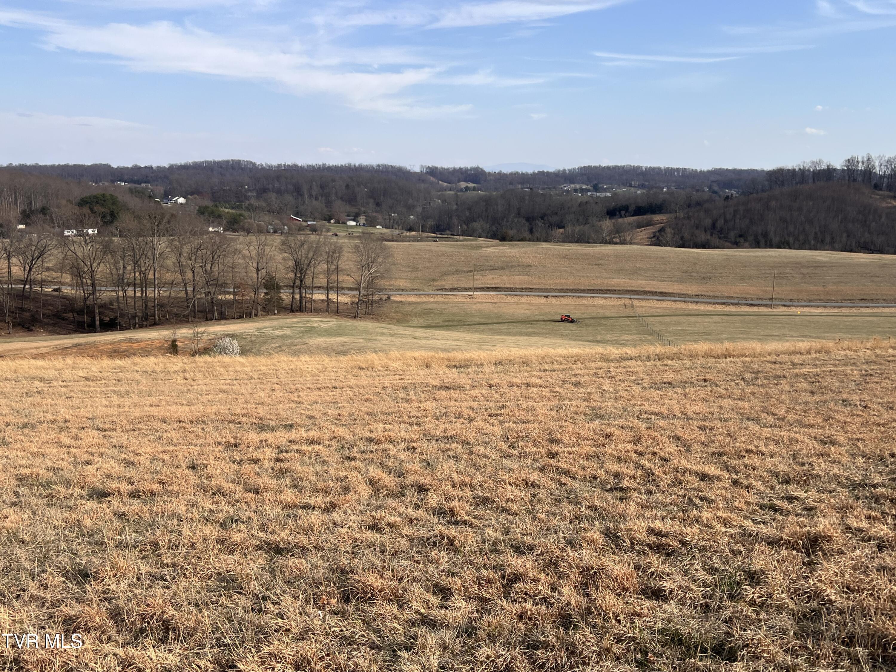 5.8-ac Jackson Road, Unit 10 Fall Branch, TN 37656 - Photo 3 of 4 JACKSON.RD-00011