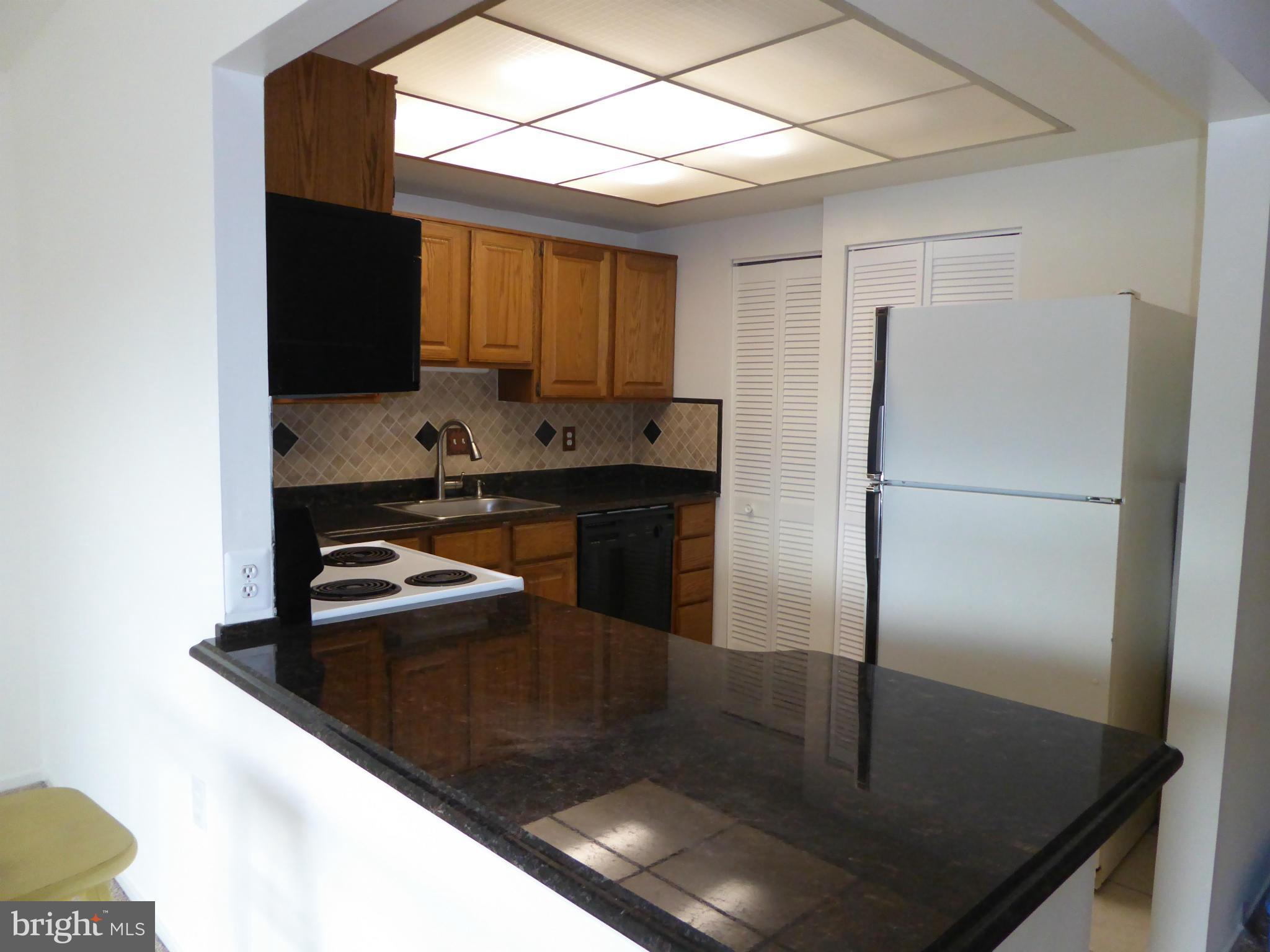 10024 Stedwick Road, Unit 202 Gaithersburg, MD 20886 - Photo 9 of 21 Kitchen