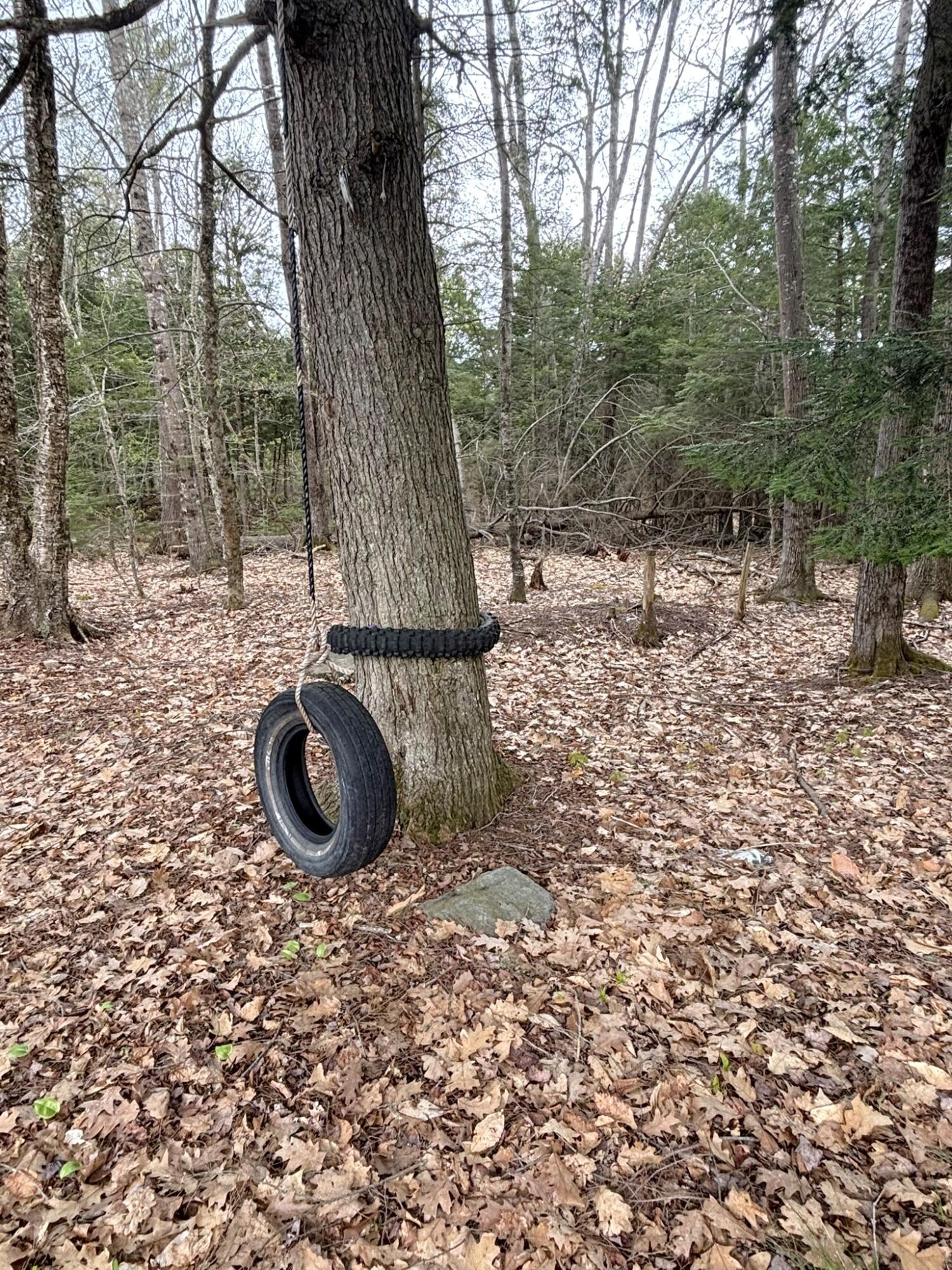 35 Fire Rd DC-1 Mount Vernon, ME 04352 - Photo 25 of 35 25. Tire Swing
