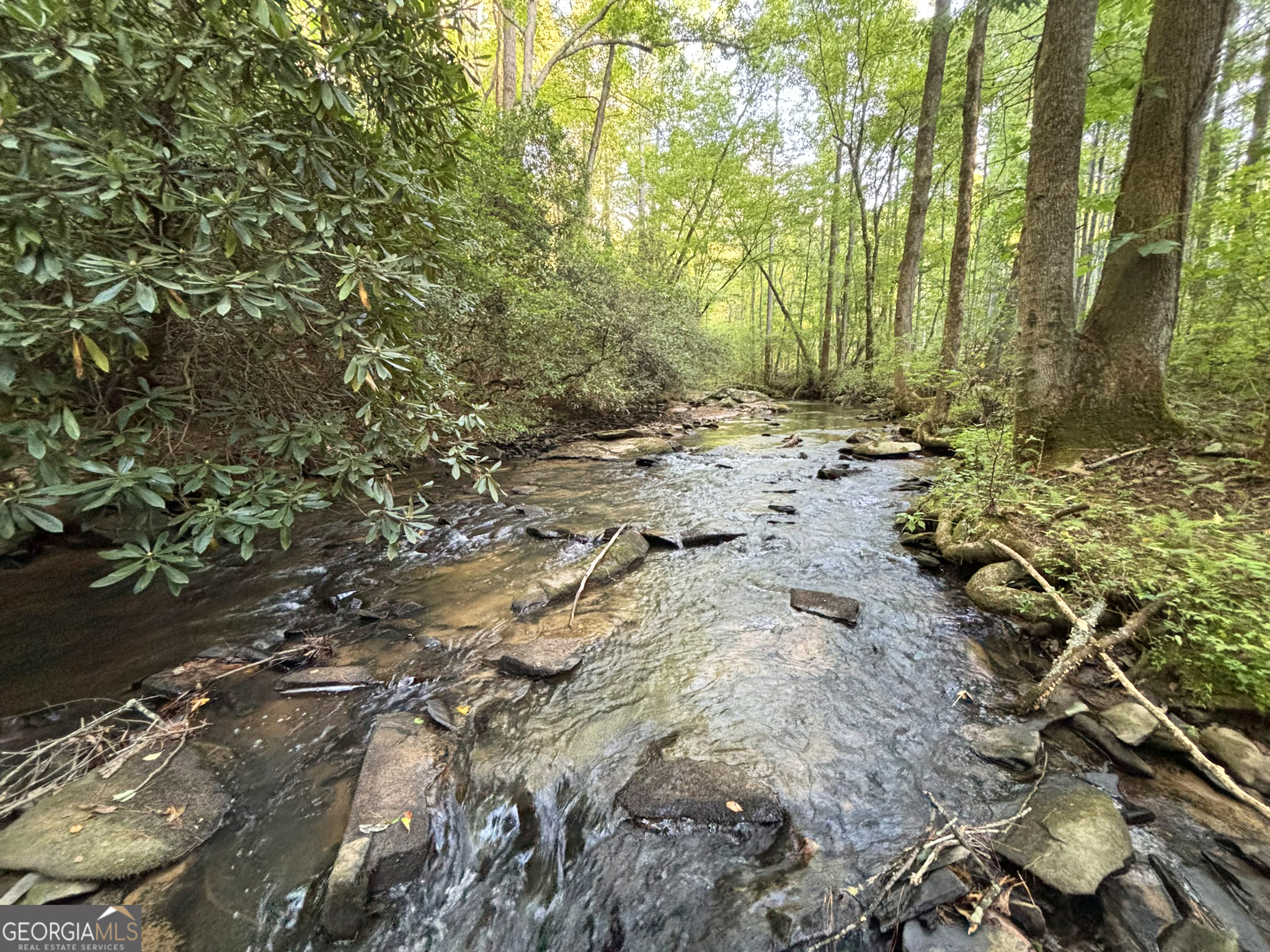 Lot 18 Mt Springer Road Ellijay, GA 30540 - Photo 3 of 31