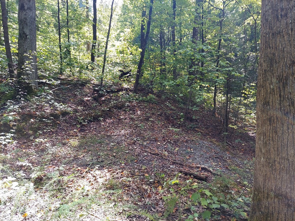 45 Sonshine Ridge Road Cosby, TN 37722 - Photo 10 of 10