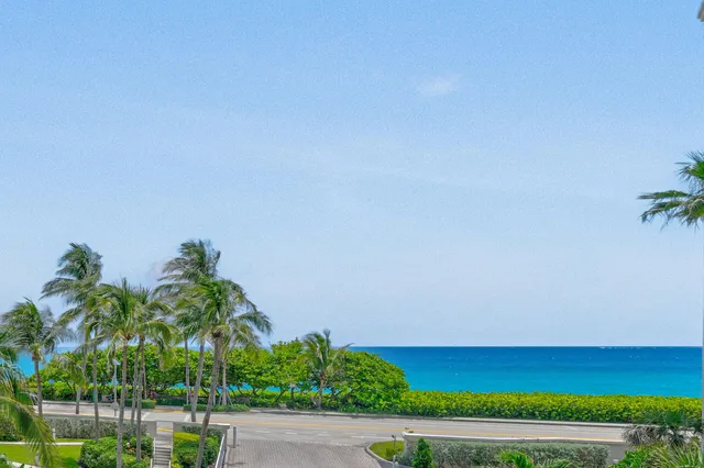 a view of a big yard with an outdoor space