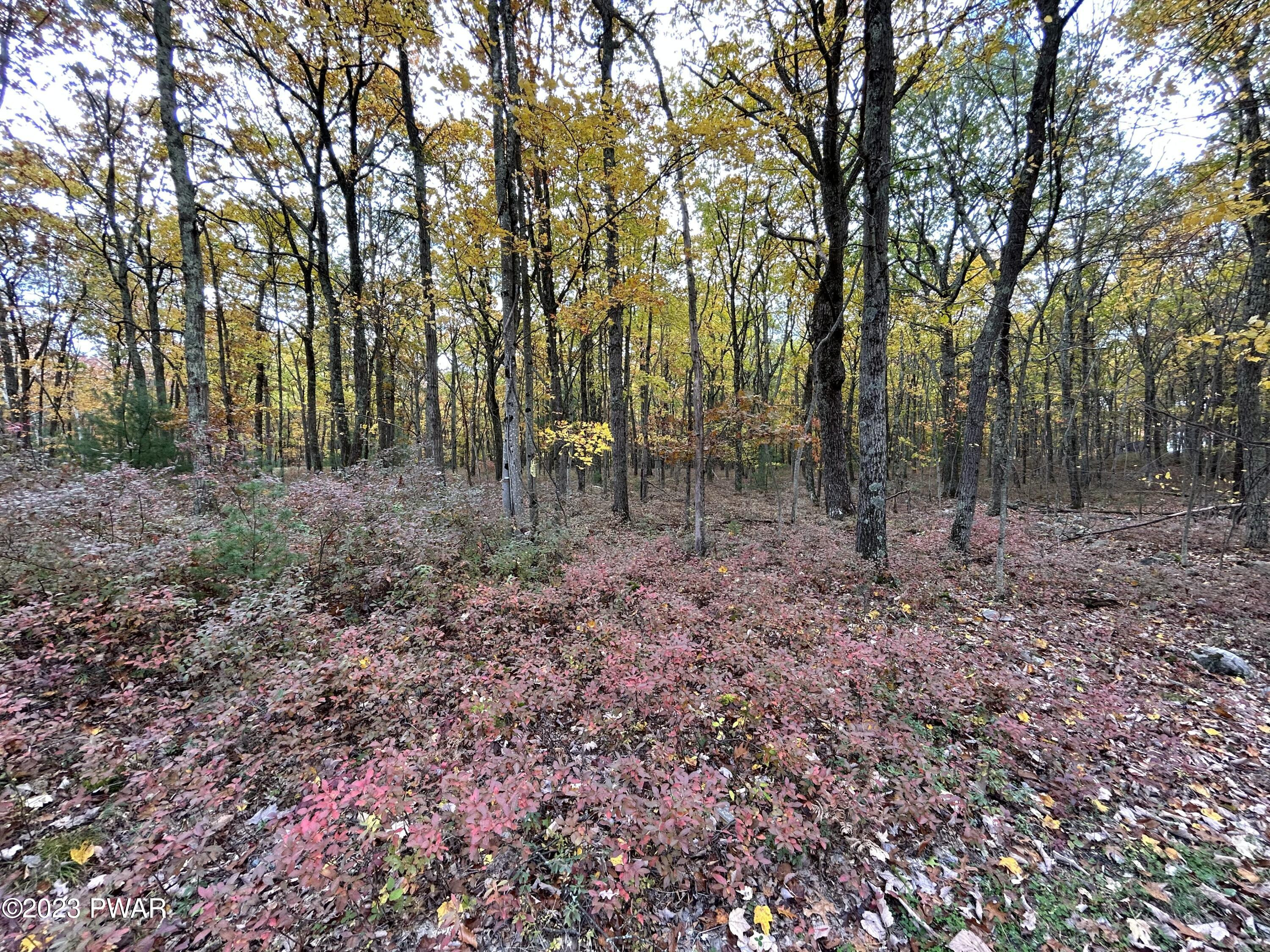 Lot 26 Timber Ridge Drive Hawley, PA 18428 - Photo 1 of 18