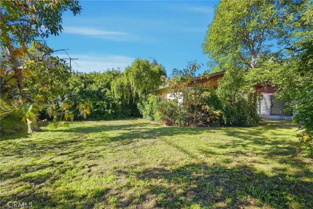 a view of a field with a tree