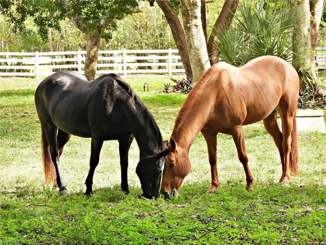 $8,100,000 | 494 Gordonia Road, Naples, FL 34108