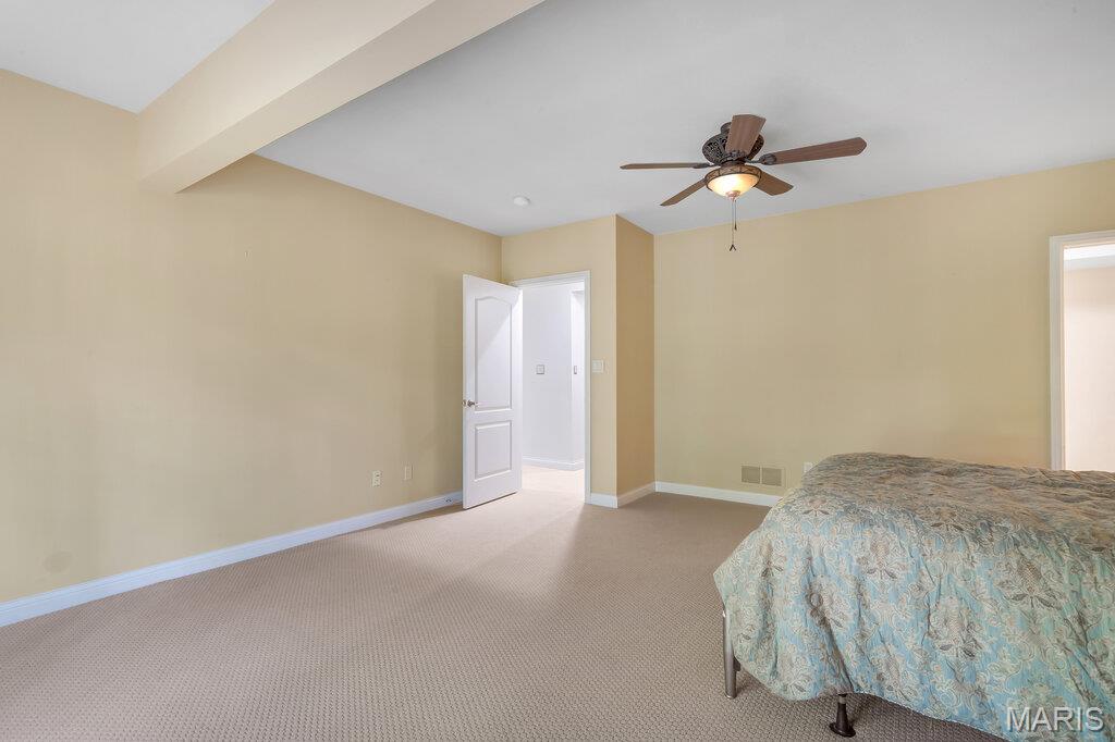 1233 Diamond Valley Drive High Ridge, MO 63049 - Photo 65 of 80