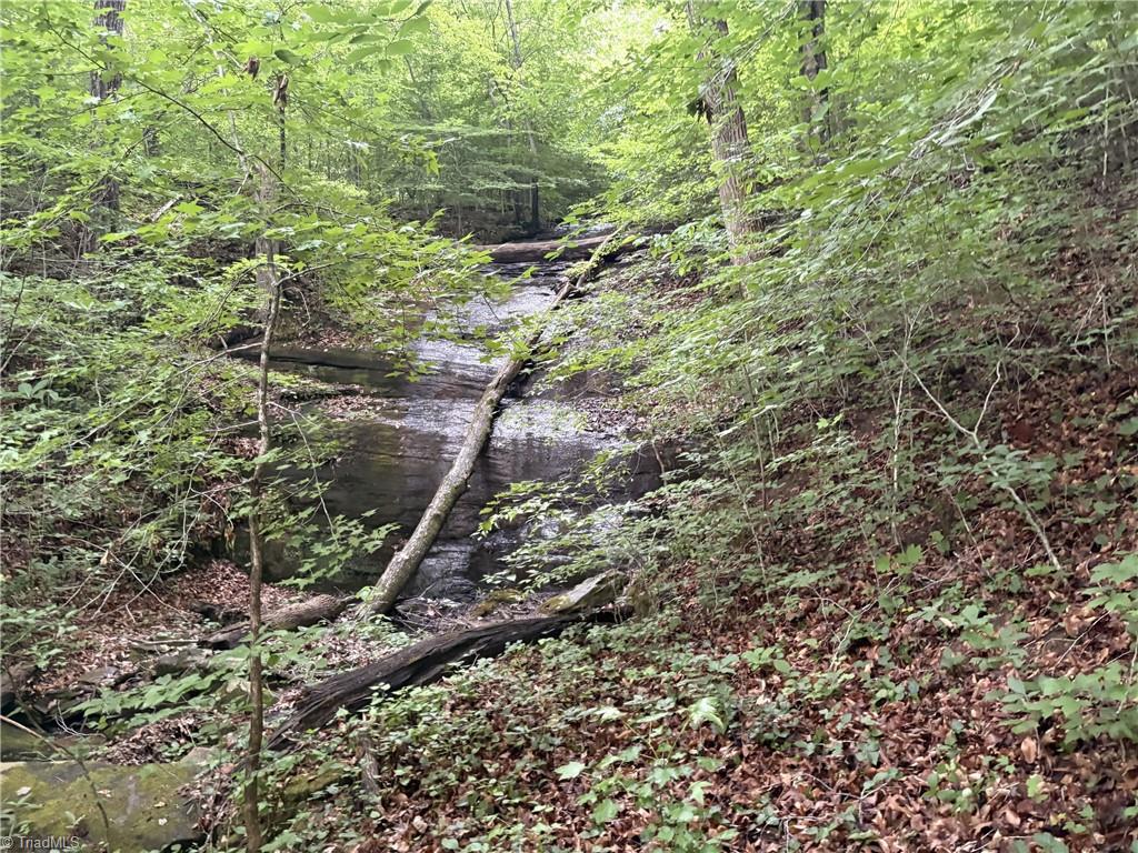 0 Nubbin Ridge Road Reidsville, NC 27320 - Photo 11 of 13