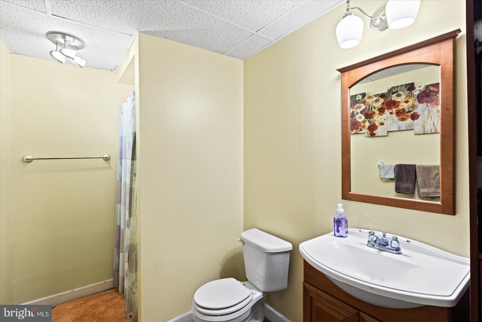 28230 Beech Drive Rhoadesville, VA 22542 - Photo 35 of 46 Basement full bath