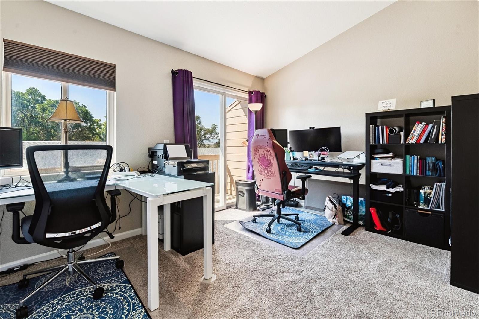 282 South Oman Road Castle Rock, CO 80104 - Photo 22 of 36