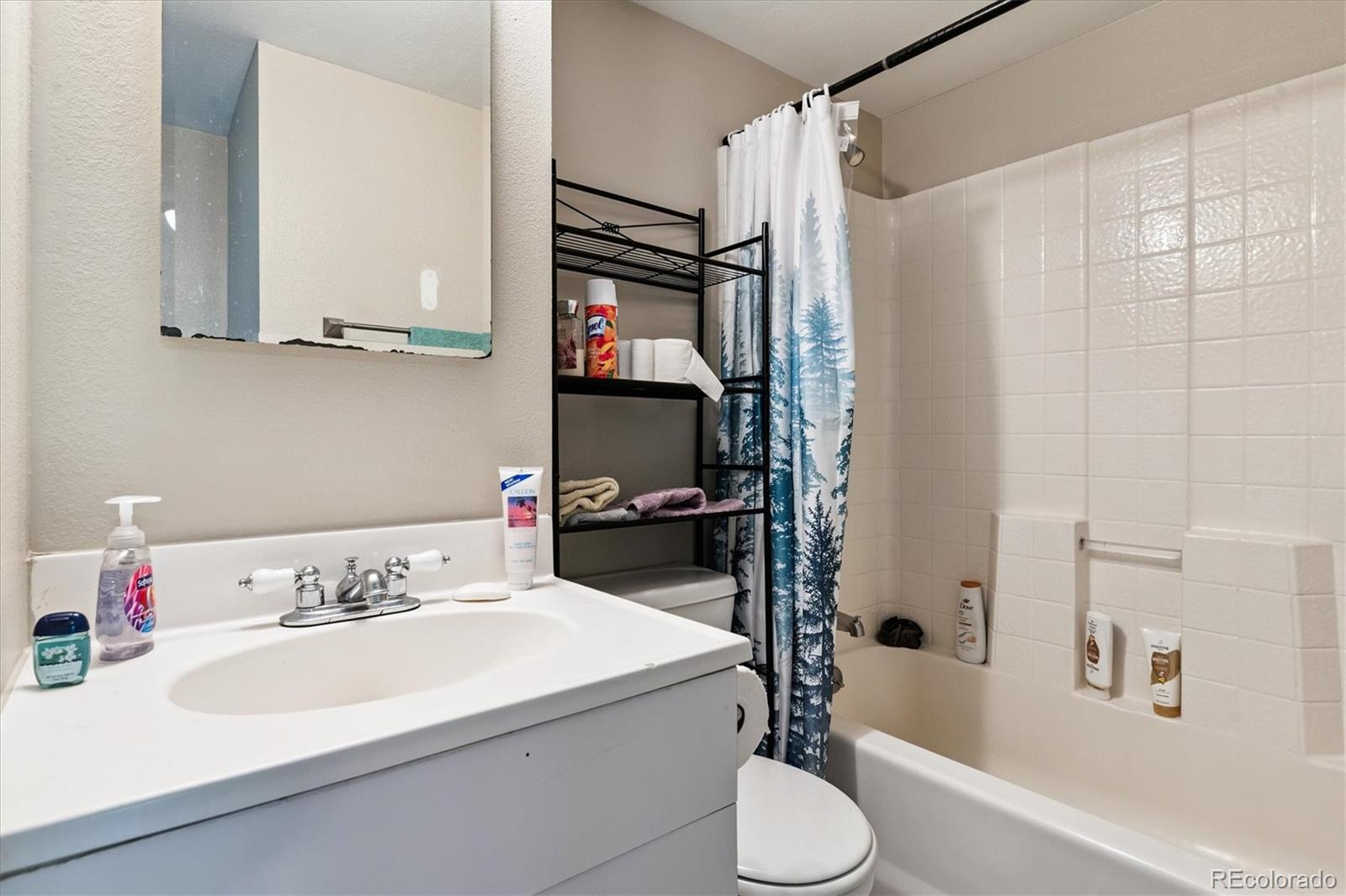 282 South Oman Road Castle Rock, CO 80104 - Photo 29 of 36