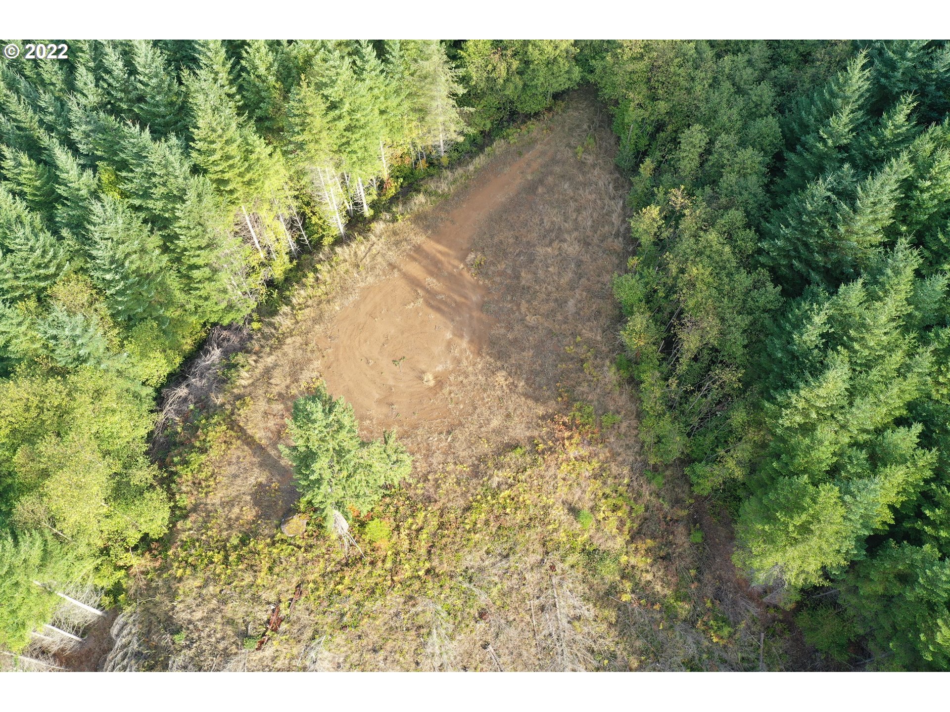 0 Bayswater Road Amboy, WA 98601 - Photo 16 of 24 Gallery Image 16