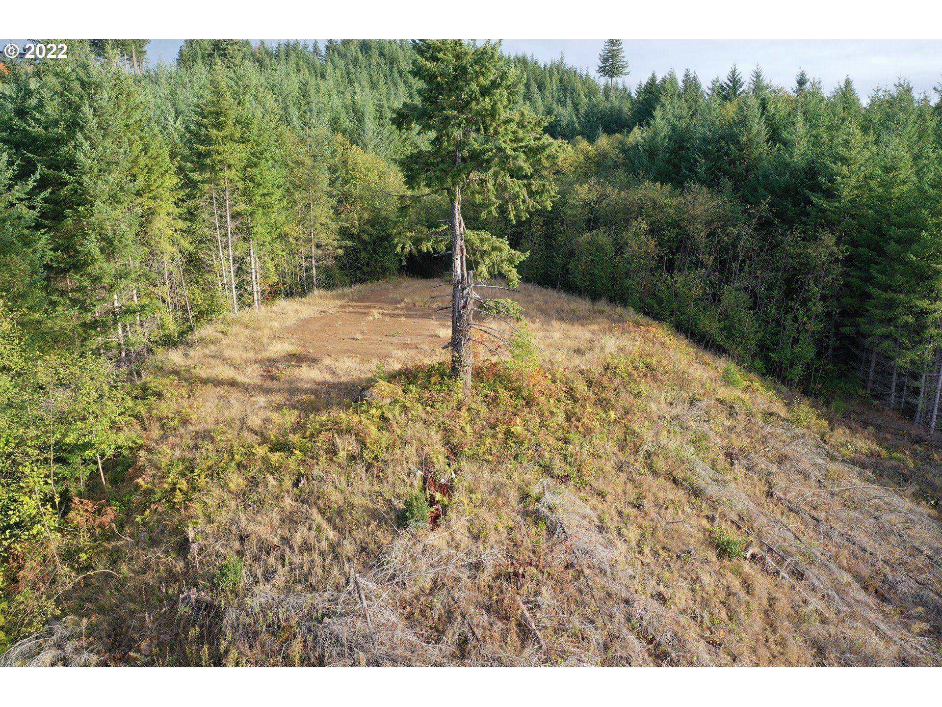 0 Bayswater Road Amboy, WA 98601 - Photo 20 of 24 Gallery Image 20