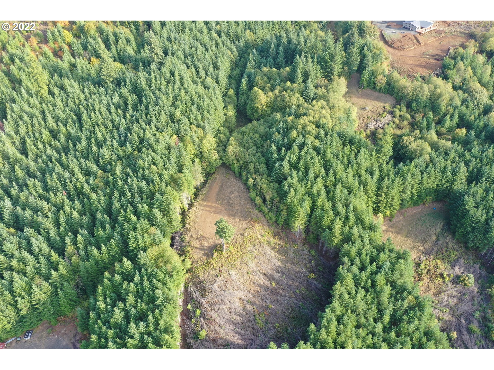 0 Bayswater Road Amboy, WA 98601 - Photo 10 of 24 Gallery Image 10