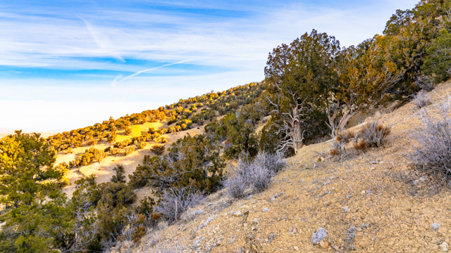 0 County Road 28 Levan, UT 84639 - Photo 100 of 207