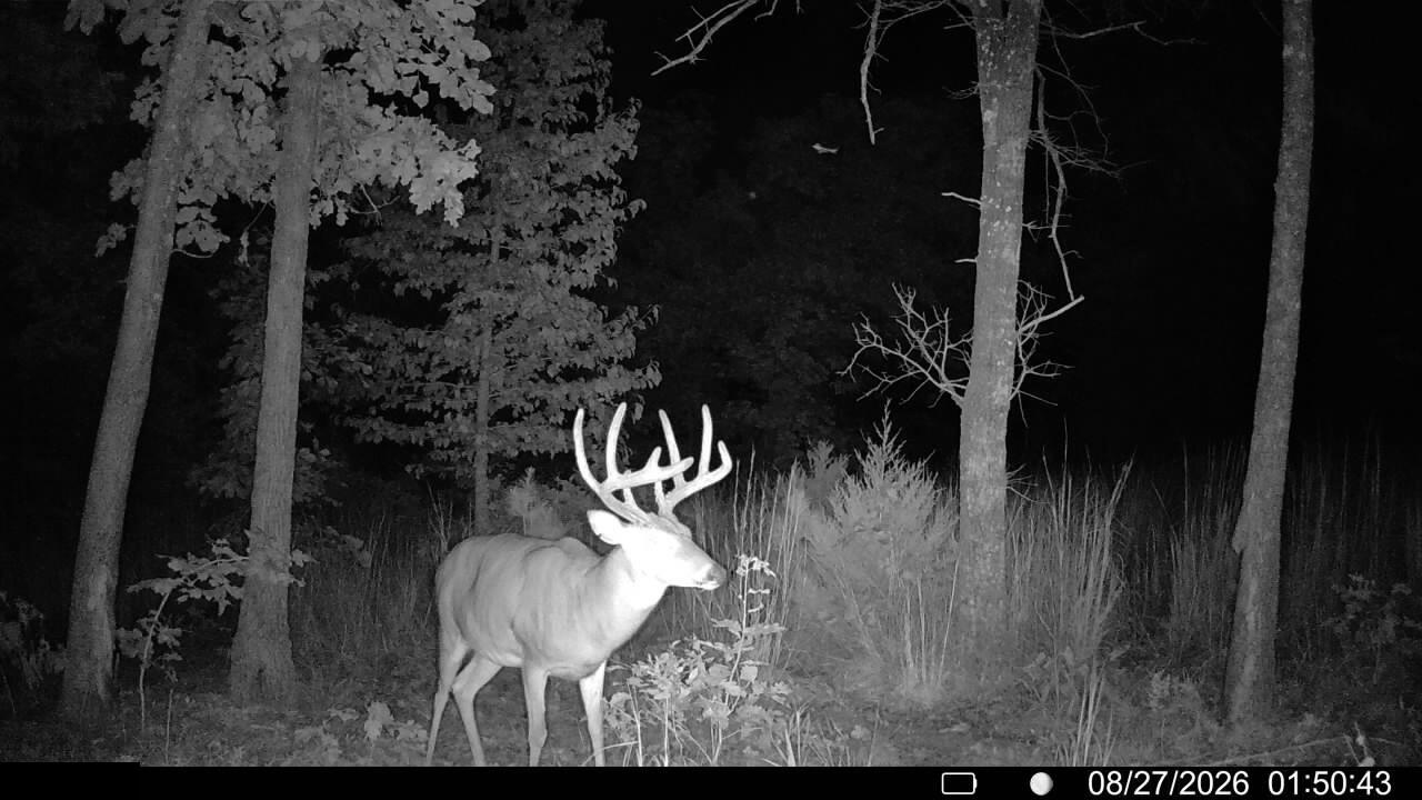 0 County Rd WW-A Summersville, MO 65571 - Photo 16 of 16 IMG_3335