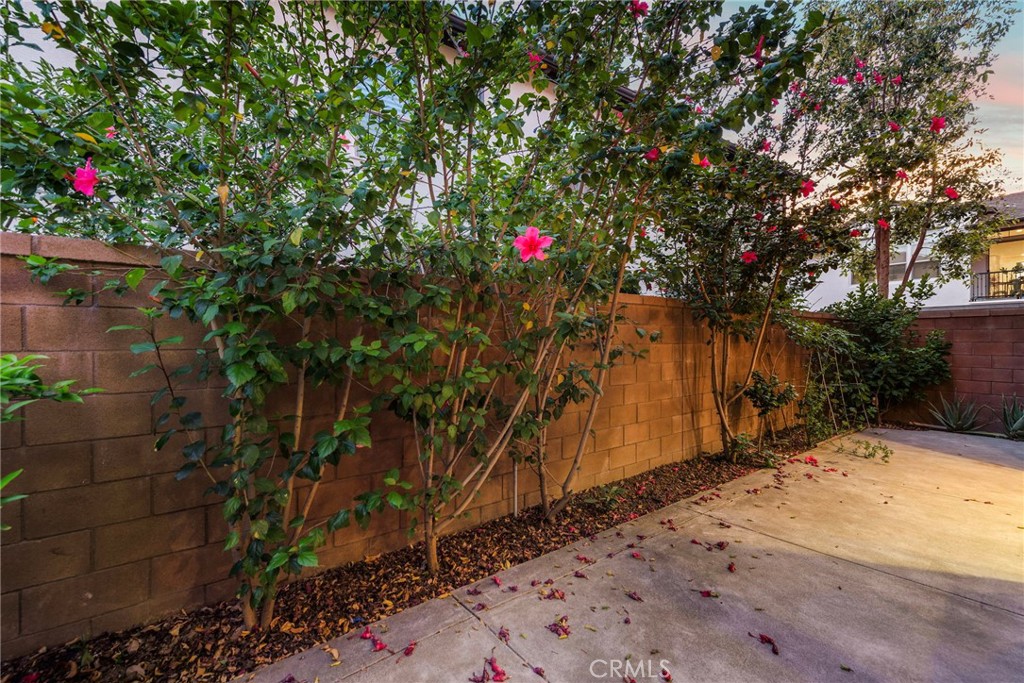 111 Henson Irvine, CA 92620 - Photo 15 of 24 a view of path along with trees