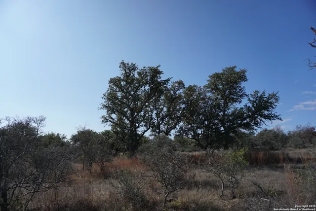 $250,000 | 137 North Steel Creek Crest, Center Point, TX 78010