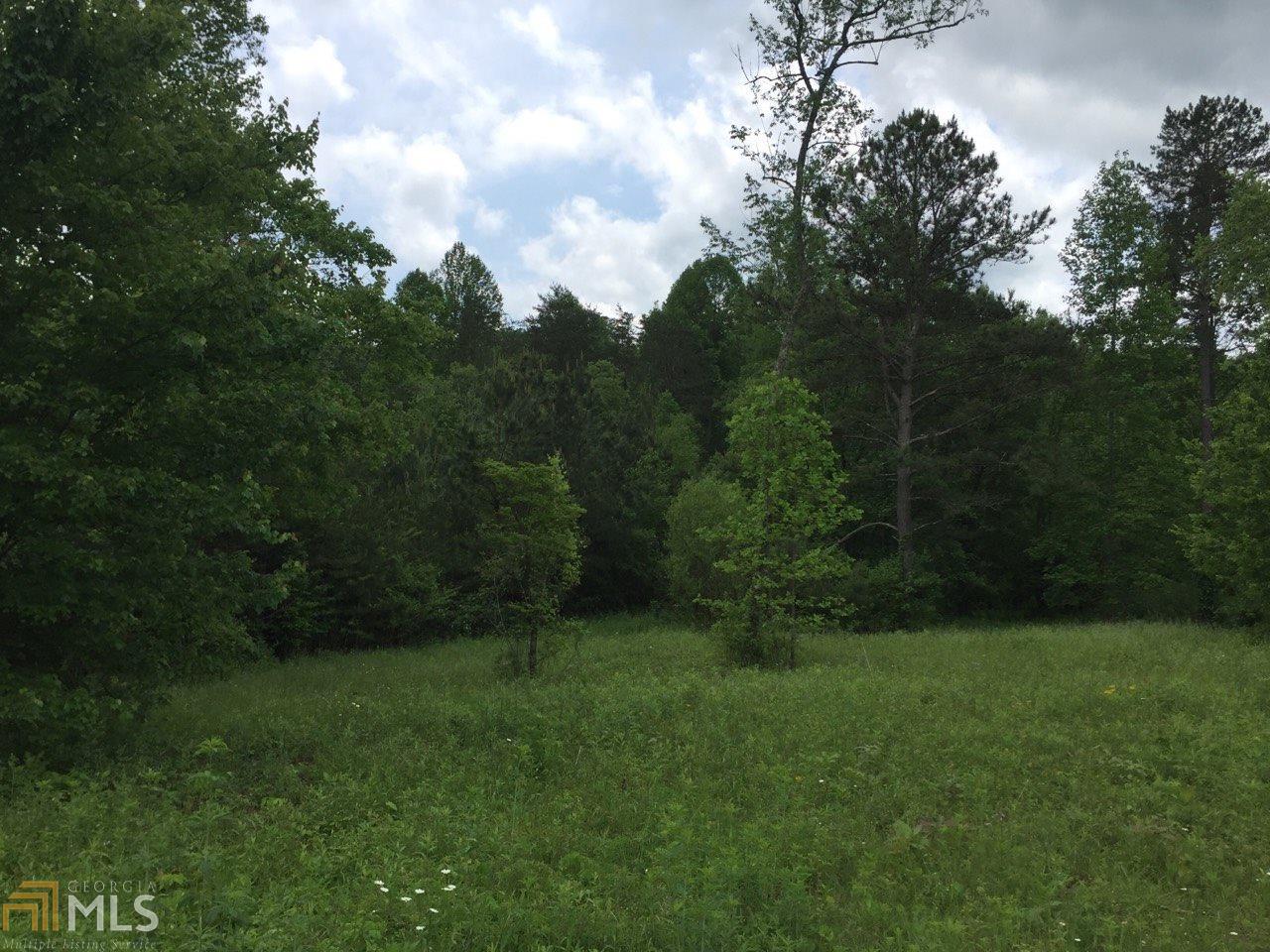 0 Little Sugar Creek, Unit 8 Blue Ridge, GA 30513 - Photo 1 of 1 Gallery Image 1