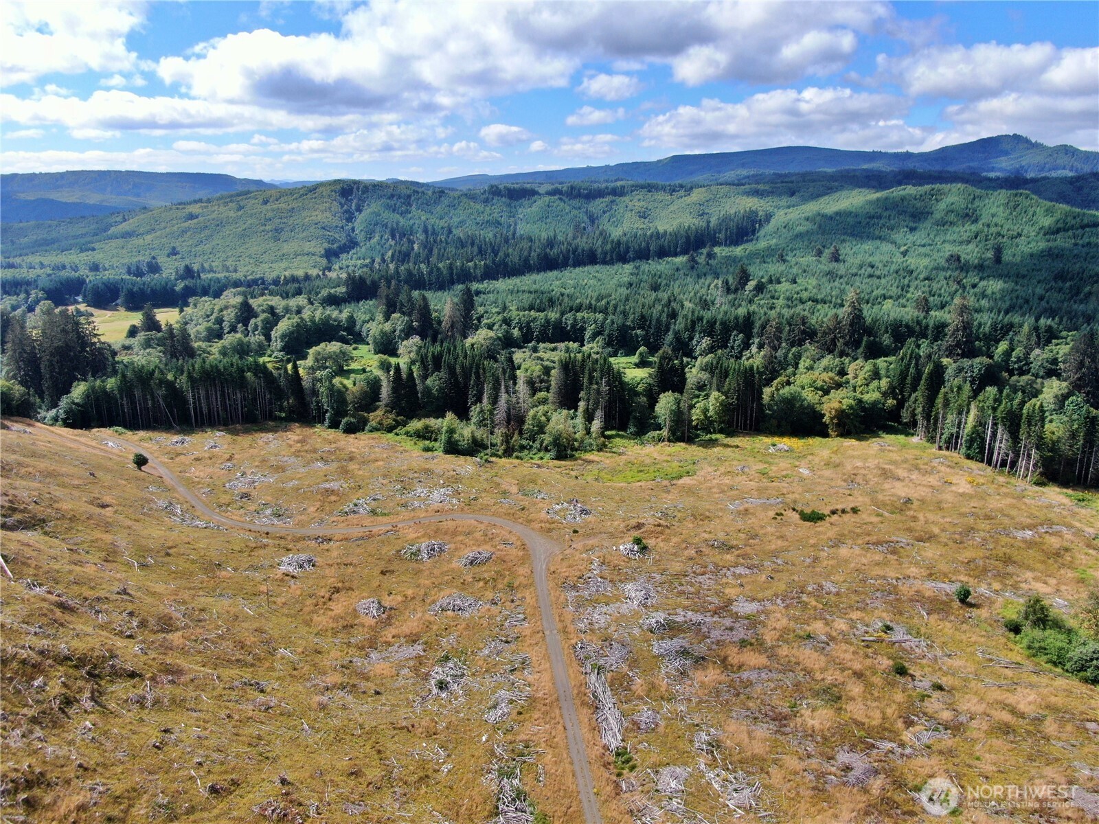 -nka North River Road Cosmopolis, WA 98537 - Photo 1 of 16 Gallery Image 1