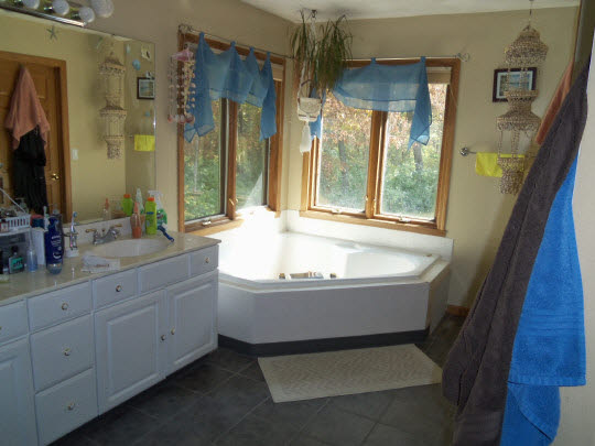 6498 Fitzgerald Road Rockford, IL 61102 - Photo 10 of 11 a bathroom with bathtub and window