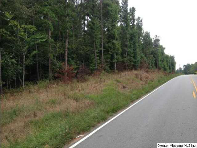 0 County Road 49, Unit 46 AC Heflin, AL 36264 - Photo 2 of 3