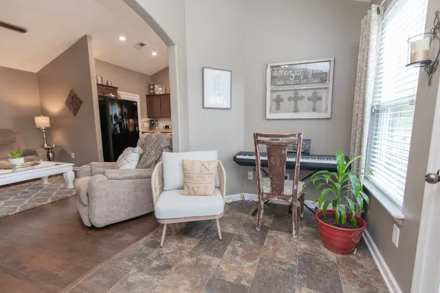 a living room with furniture and a potted plant