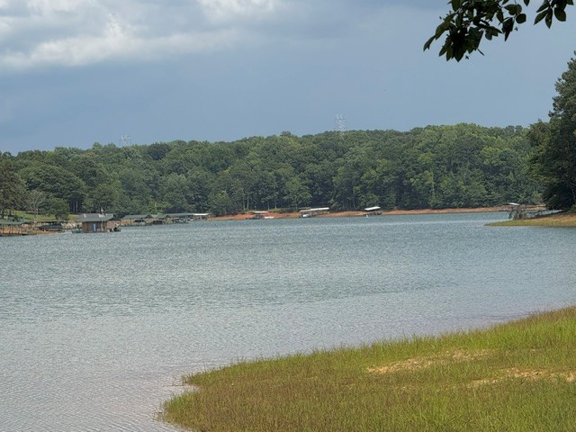 122 Bud Lane Anderson, SC 29625 - Photo 3 of 4 A tranquil lake view bordered by lush woodlands and convenient boat docks.