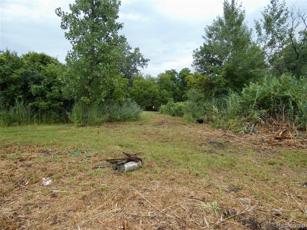 21332 Dix Toledo Road Woodhaven, MI 48183 - Photo 29 of 33