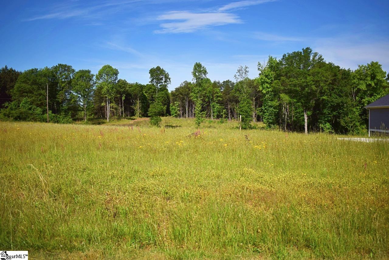 441 Gramling School Road Inman, SC 29349 - Photo 16 of 22