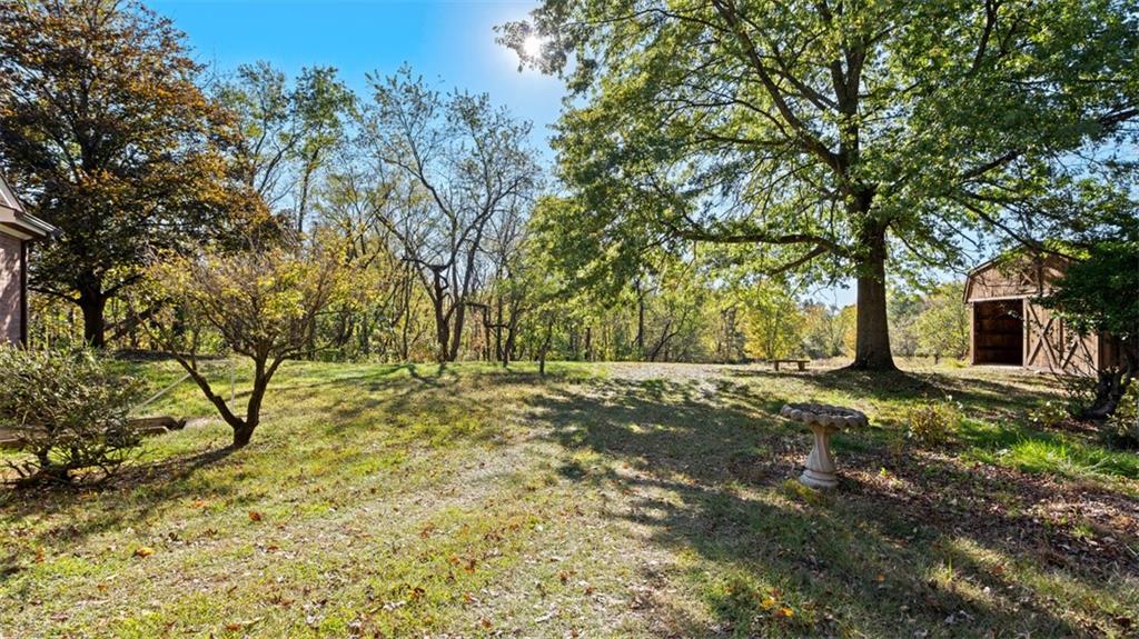 507 Rochester Road Rochester, PA 15074 - Photo 27 of 35 a view of a yard with plants and trees