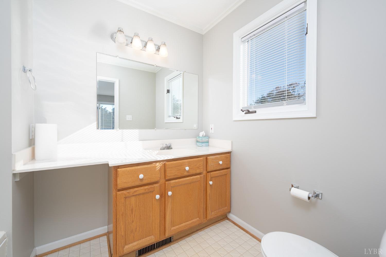 2629 Everett Road Forest, VA 24551 - Photo 28 of 47 a bathroom with a toilet sink and mirror