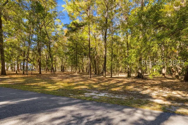 $250,000 | 217 McAllister Landing, Richmond Hill, GA 31324