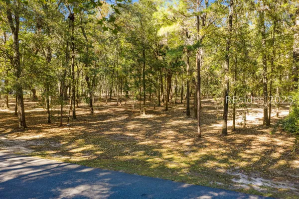 $250,000 | 217 McAllister Landing, Richmond Hill, GA 31324