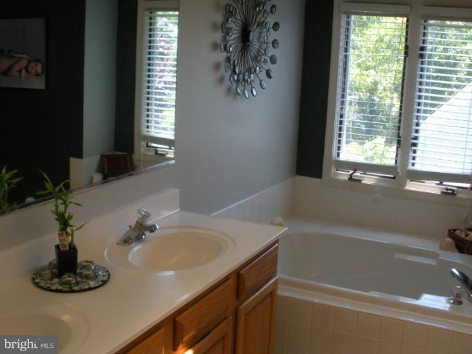 1282 Wedgewood Manor Way Reston, VA 20194 - Photo 14 of 25 Dble sink vanity, soak tub & sep shower