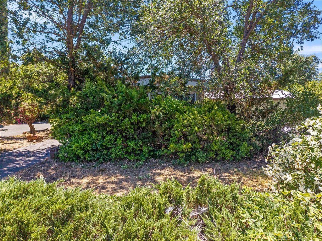 3328 Ackley Road Lakeport, CA 95453 - Photo 4 of 44