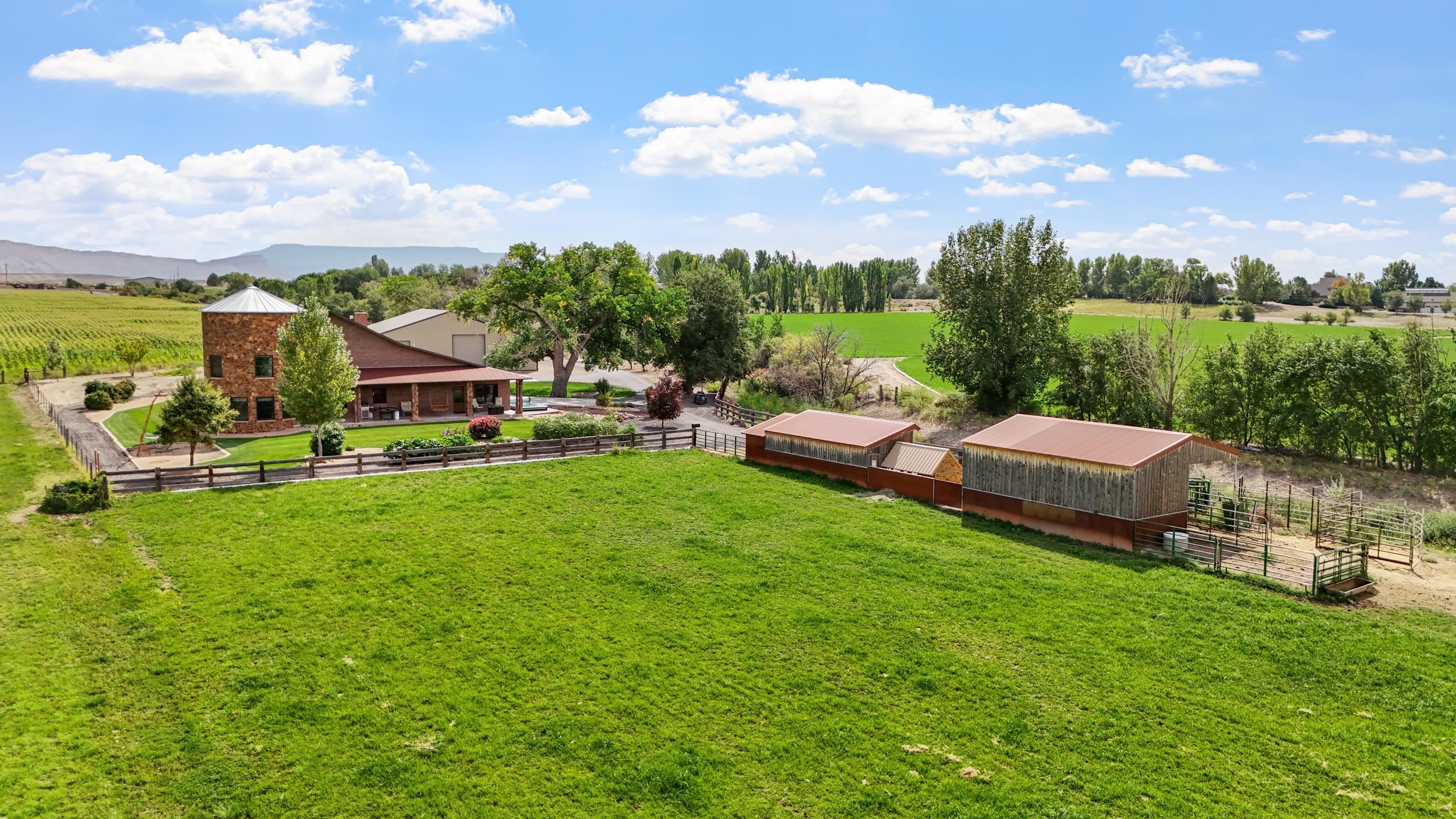 1029 25 Road Grand Junction, CO 81505 - Photo 5 of 42 a view of a house with backyard