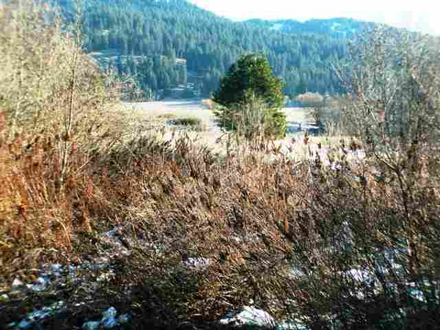 Tbd Skookum Creek Road Usk, WA 99180 - Photo 1 of 9