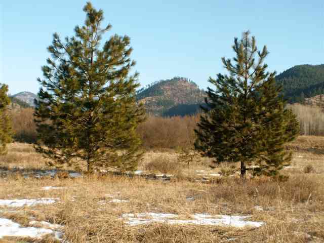Tbd Skookum Creek Road Usk, WA 99180 - Photo 2 of 9