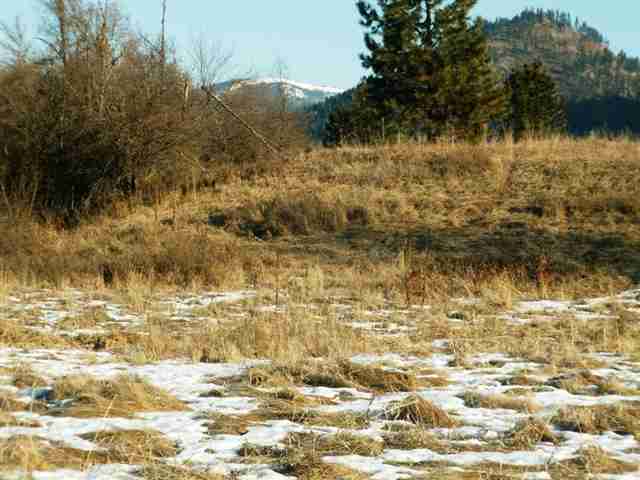 Tbd Skookum Creek Road Usk, WA 99180 - Photo 3 of 9