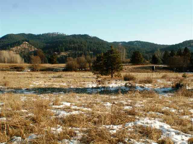 Tbd Skookum Creek Road Usk, WA 99180 - Photo 5 of 9